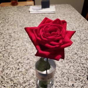 Meet your Posher, Billy n doreen